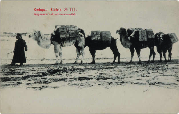 Открытое письмо «Сибирь - Siberie. № 111. Караван-чай. - Caravane-the». М.: Фототипия Шерер, Набгольц и Ко, 1903. 